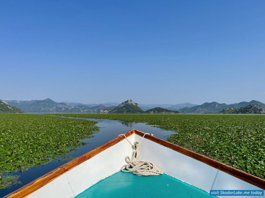 Explore tous les trésors du lac de Skadar!